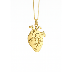Ketting met anatomisch hart